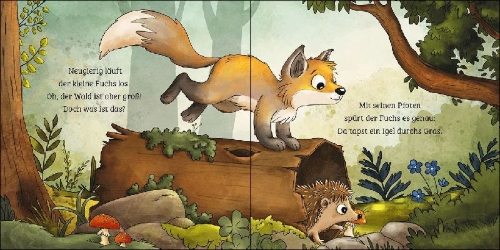 Buchcover und Innenansicht für das Buch: Mein erstes Naturbuch - Der Fuchs