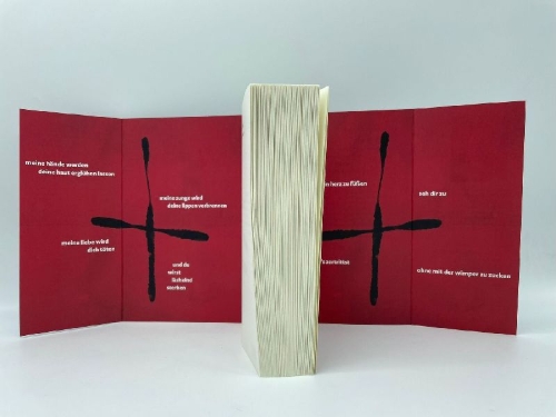 Buchcover und Innenansicht für das Buch: Und du wirst lächelnd sterben