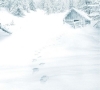 Buchcover und Innenansicht für das Buch: Kant und der sechste Winter