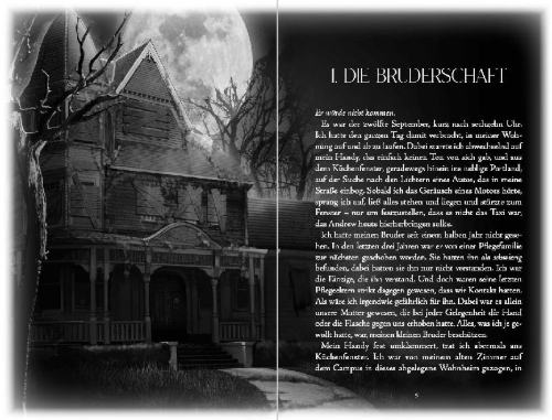Buchcover und Innenansicht für das Buch: Kissing the Night