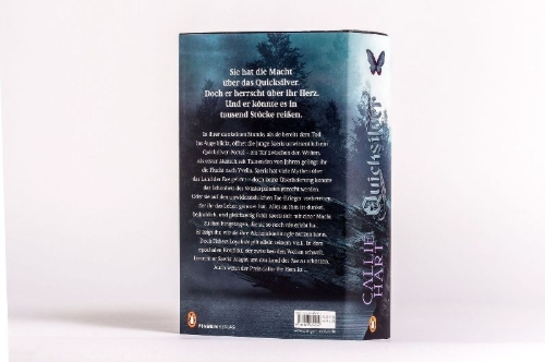 Buchcover und Innenansicht für das Buch: Quick Silver
