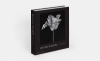 Buchcover und Innenansicht für das Buch: Mapplethorpe Flora