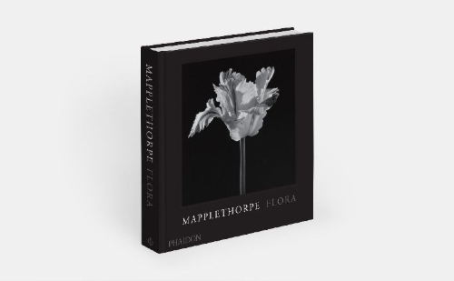 Buchcover und Innenansicht für das Buch: Mapplethorpe Flora