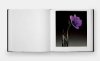 Buchcover und Innenansicht für das Buch: Mapplethorpe Flora