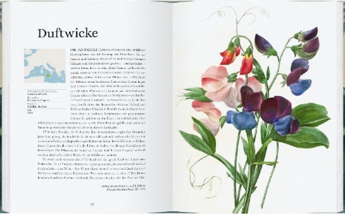 Buchcover und Innenansicht für das Buch: The Plant Hunters Atlas