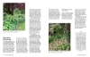 Buchcover und Innenansicht für das Buch: Kleine Bäume für den Garten