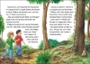 Buchcover und Innenansicht für das Buch: Das magische Baumhaus junior 10 - Ritt durch den Wilden Westen