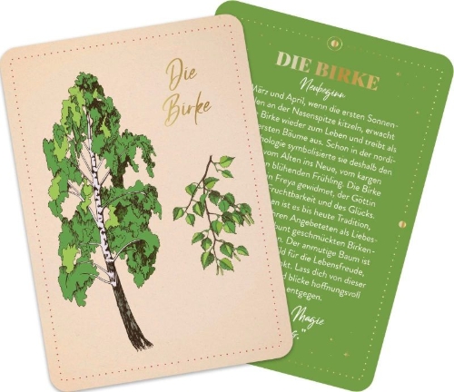 Buchcover und Innenansicht für das Buch: Orakelkarten: Die verborgene Kraft der Bäume
