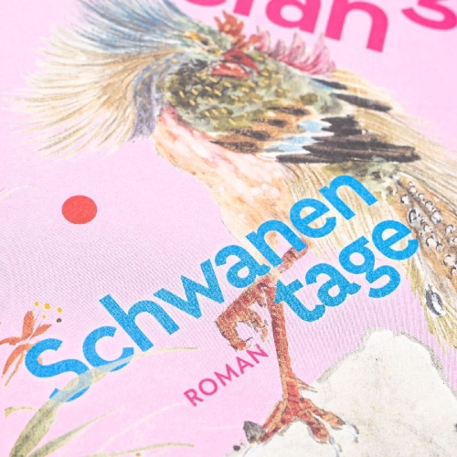 Buchcover und Innenansicht für das Buch: Swan Hotel