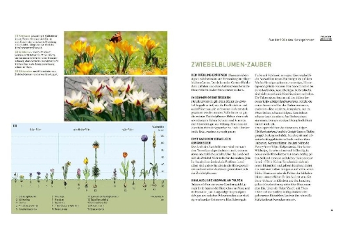 Buchcover und Innenansicht für das Buch: Mein schöner pflegeleichter Garten. Gewusst wie - geschickte Garten-Planung und Pflanzenauswahl