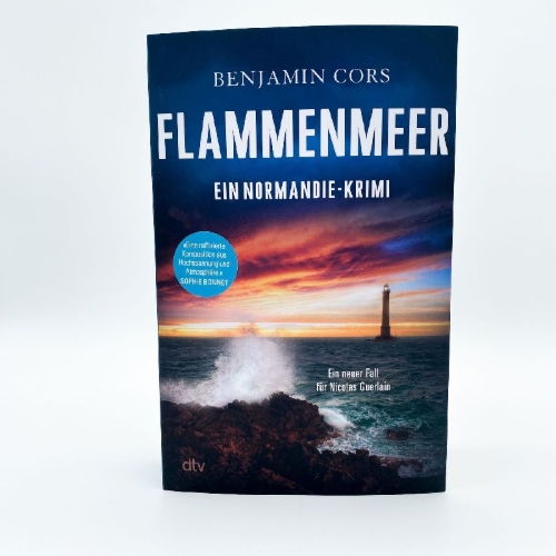 Buchcover und Innenansicht für das Buch: Flammenmeer