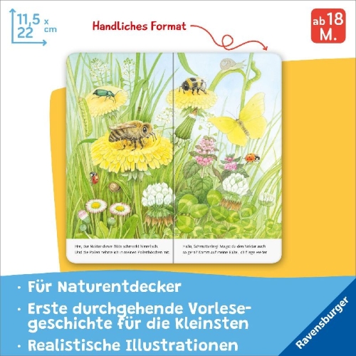 Buchcover und Innenansicht für das Buch: Ich bin die kleine Biene