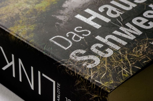 Buchcover und Innenansicht für das Buch: Das Haus der Schwestern