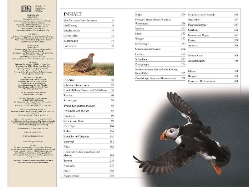 Buchcover und Innenansicht für das Buch: Vögel in Europa