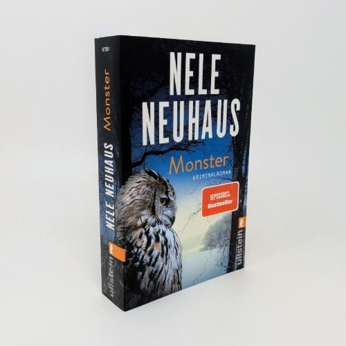 Buchcover und Innenansicht für das Buch: Monster
