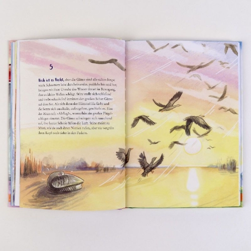 Buchcover und Innenansicht für das Buch: Stine Gans und ihre unglaubliche Reise