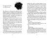 Buchcover und Innenansicht für das Buch: Die Sonnenfeuer-Ballade: A Storm to Kill a Kiss