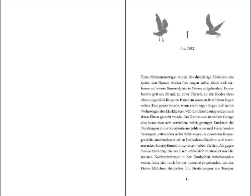 Buchcover und Innenansicht für das Buch: The Coincidence Authority