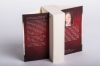 Buchcover und Innenansicht für das Buch: Heads You Win