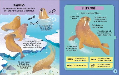 Buchcover und Innenansicht für das Buch: Zusammenstecken und Entdecken: Meerestiere