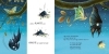 Buchcover und Innenansicht für das Buch: Basil dreams big (Bat)