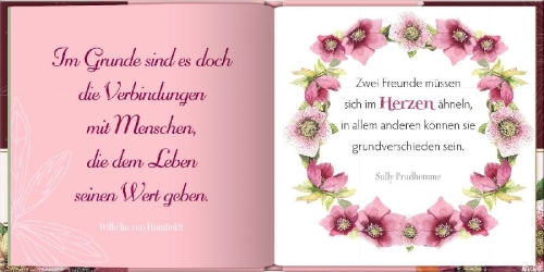 Buchcover und Innenansicht für das Buch: Freundinnen