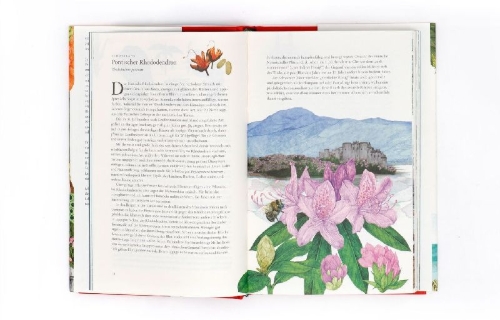 Buchcover und Innenansicht für das Buch: In 80 Pflanzen um die Welt