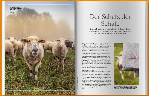 Buchcover und Innenansicht für das Buch: Landlust Stricken