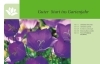 Buchcover und Innenansicht für das Buch: Gartenjahr für Einsteiger