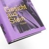 Buchcover und Innenansicht für das Buch: The Stone Face