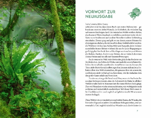 Buchcover und Innenansicht für das Buch: Kraftort Natur
