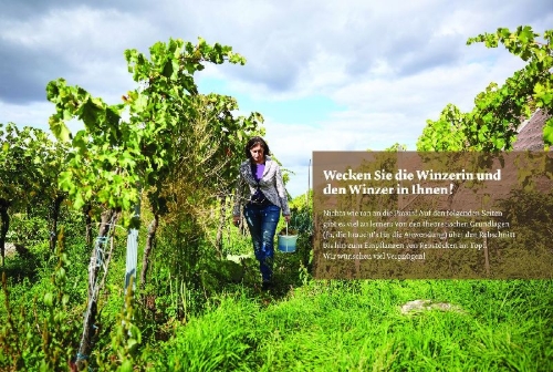 Buchcover und Innenansicht für das Buch: Bio-Wein im eigenen Garten