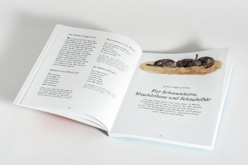 Buchcover und Innenansicht für das Buch: Das große Buch der Kinderreime