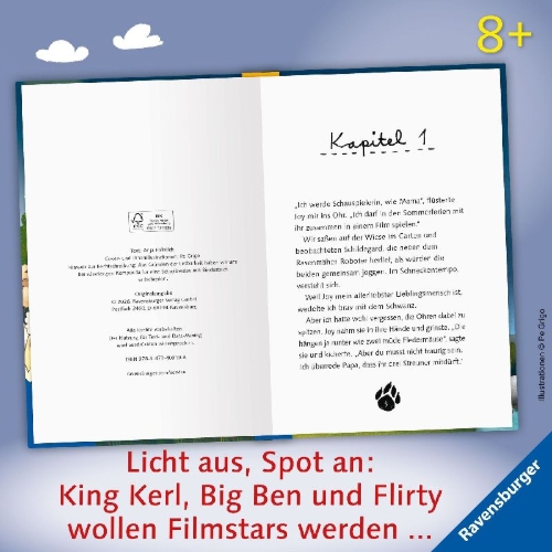 Buchcover und Innenansicht für das Buch: 3 Streuner werden Filmstars