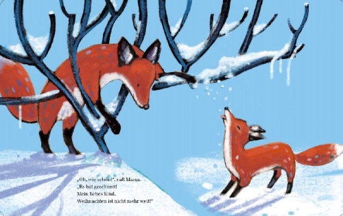 Buchcover und Innenansicht für das Buch: Freu dich aufs Christkind, kleiner Fuchs!