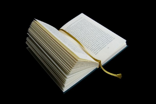 Buchcover und Innenansicht für das Buch: Ungeduld des Herzens