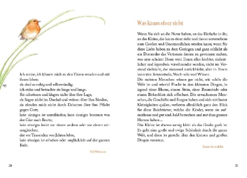 Buchcover und Innenansicht für das Buch: Sonnenschein, Freiheit und eine kleine Blume braucht man