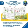 Buchcover und Innenansicht für das Buch: Wieso? Weshalb? Warum?: Mein großes Natur-Lexikon