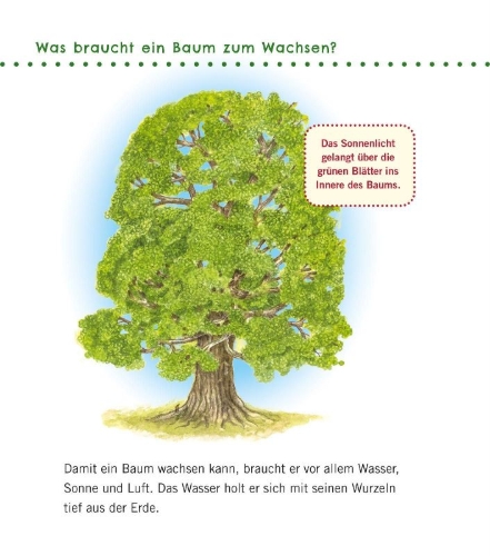 Buchcover und Innenansicht für das Buch: Unkaputtbar: Erstes Wissen: Im Wald