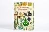 Buchcover und Innenansicht für das Buch: Botanicum. Welcome to the Museum