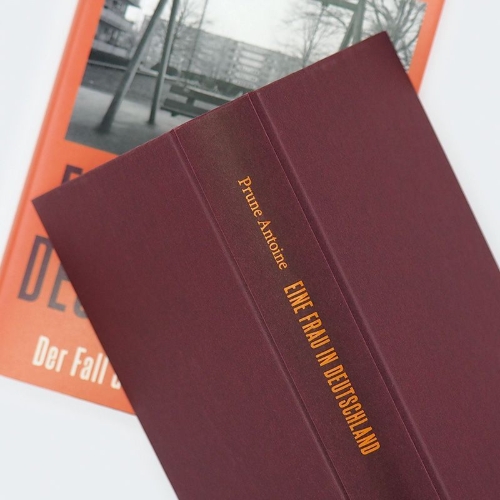 Buchcover und Innenansicht für das Buch: LA MÈRE DIABOLIQUE