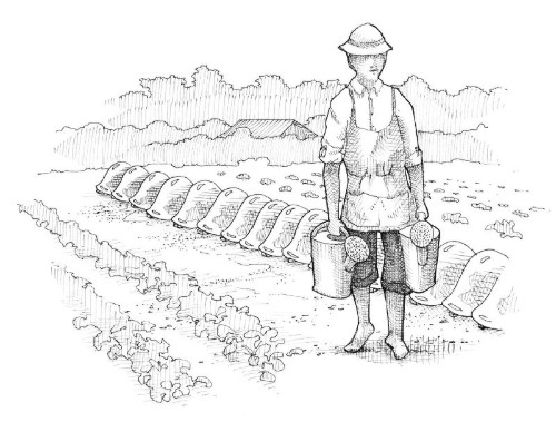 Buchcover und Innenansicht für das Buch: Le jardinier-maraîcher. Manuel d'agriculture biologique sur petite surface