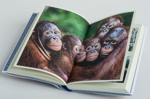 Buchcover und Innenansicht für das Buch: Mission Erde - Die Welt ist es wert, um sie zu kämpfen