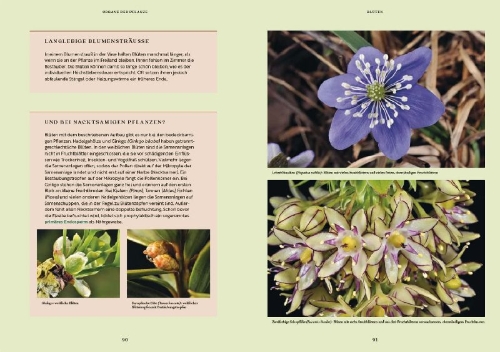 Buchcover und Innenansicht für das Buch: Gartenbotanik