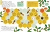 Buchcover und Innenansicht für das Buch: What on earth - Bees