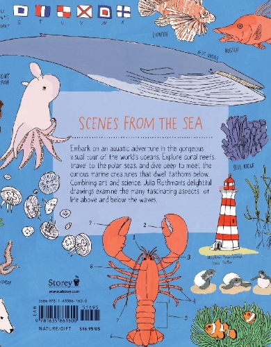 Buchcover und Innenansicht für das Buch: Ocean Anatomy