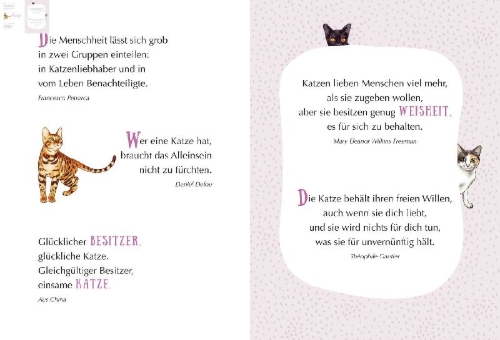 Buchcover und Innenansicht für das Buch: MIAU! - Engel auf Samtpfoten