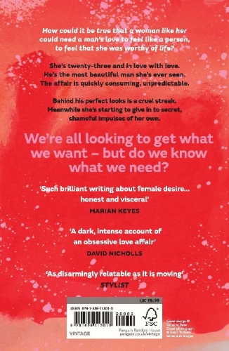 Buchcover und Innenansicht für das Buch: Acts of Desperation