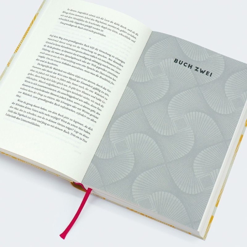 Buchcover und Innenansicht für das Buch: La plus secrète mémoire des hommes