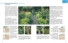 Buchcover und Innenansicht für das Buch: Das große GU Gartenbuch